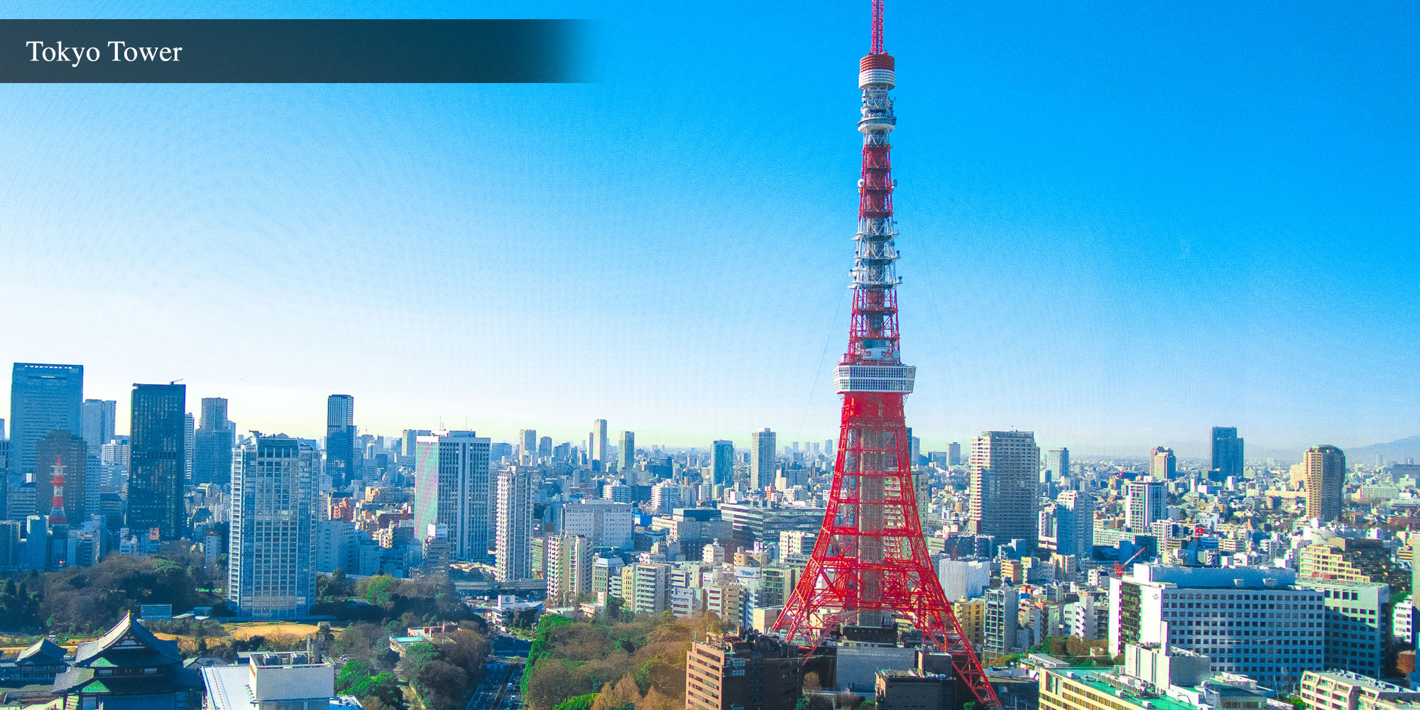 Tokyo Tower