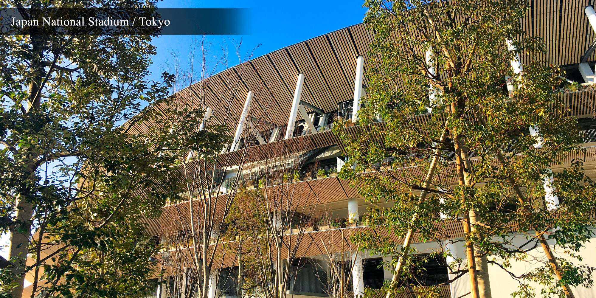 New Japan National Stadium