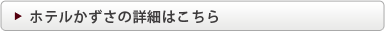ホテルかずさの詳細はこちら