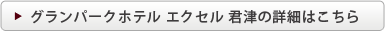 グランパークホテル エクセル 君津の詳細はこちら