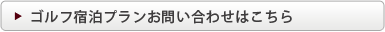 �S���t�h���v�����̂��₢���킹�͂�����