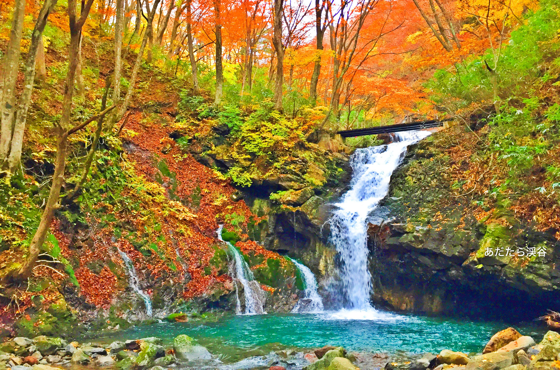 安達太良山紅葉